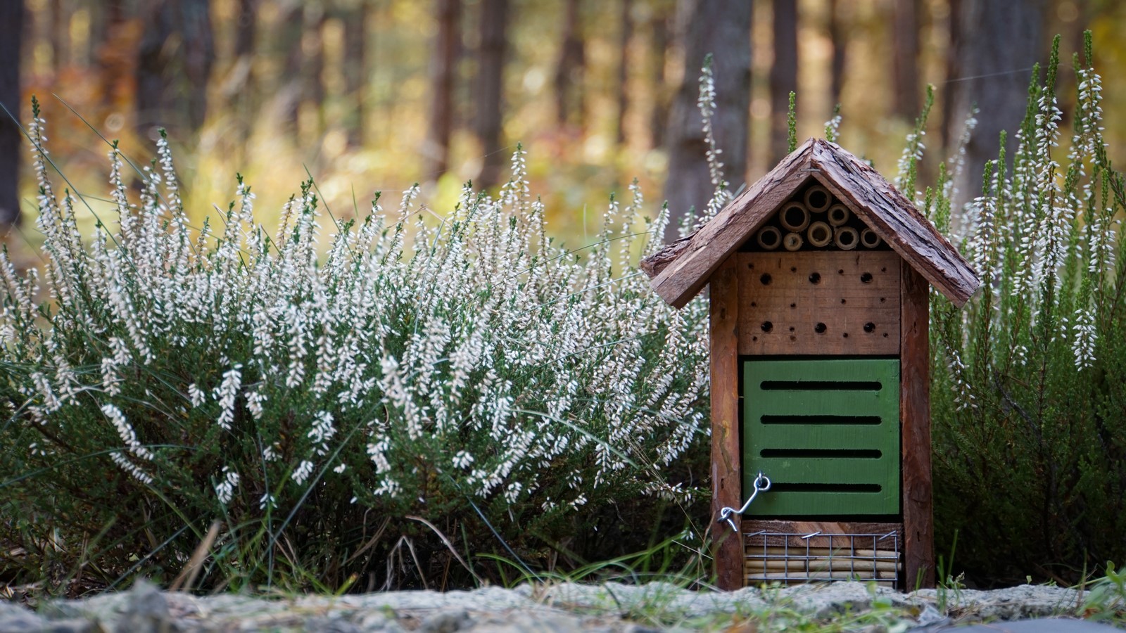 Rustic insect house
