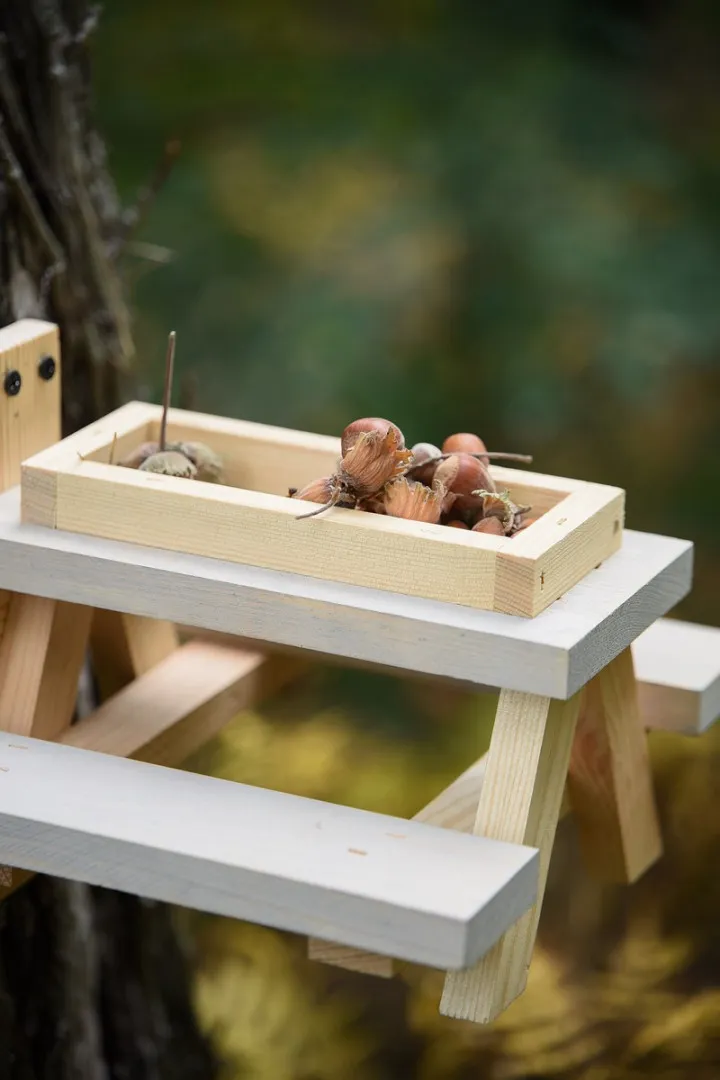 Mini tables for squirrels