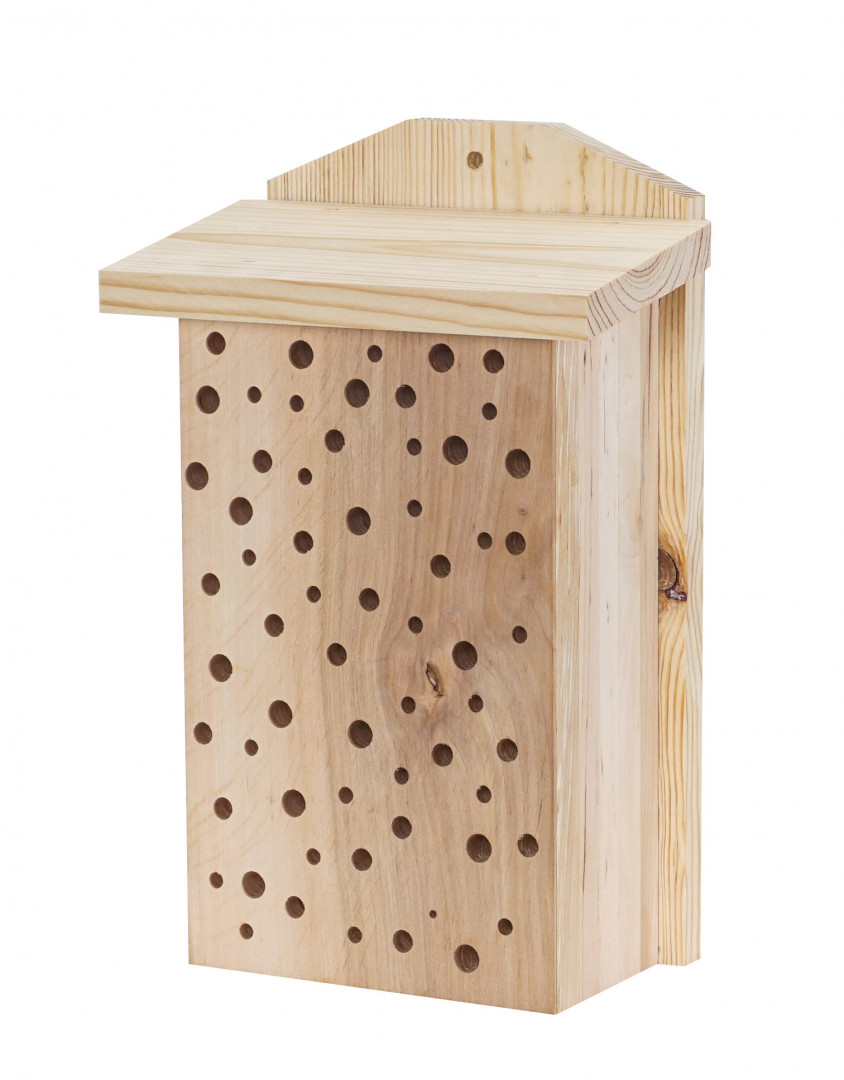 Insect house