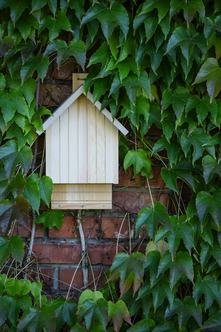 Bat houses