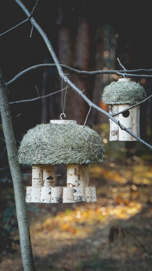 Feeders and nest boxes for birds